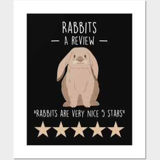 Rabbit Review Posters and Art